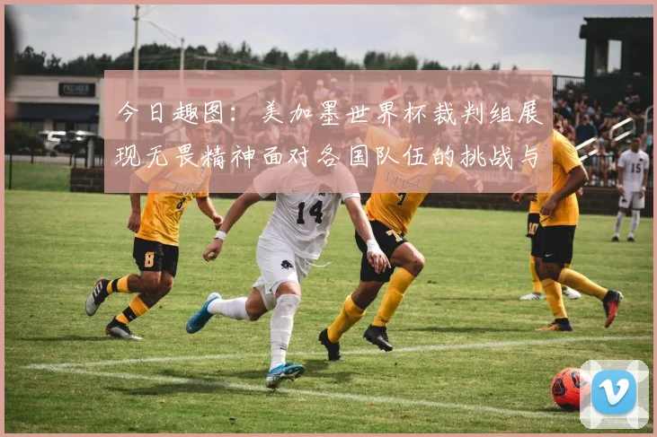 今日趣图：美加墨世界杯裁判组展现无畏精神面对各国队伍的挑战与针对